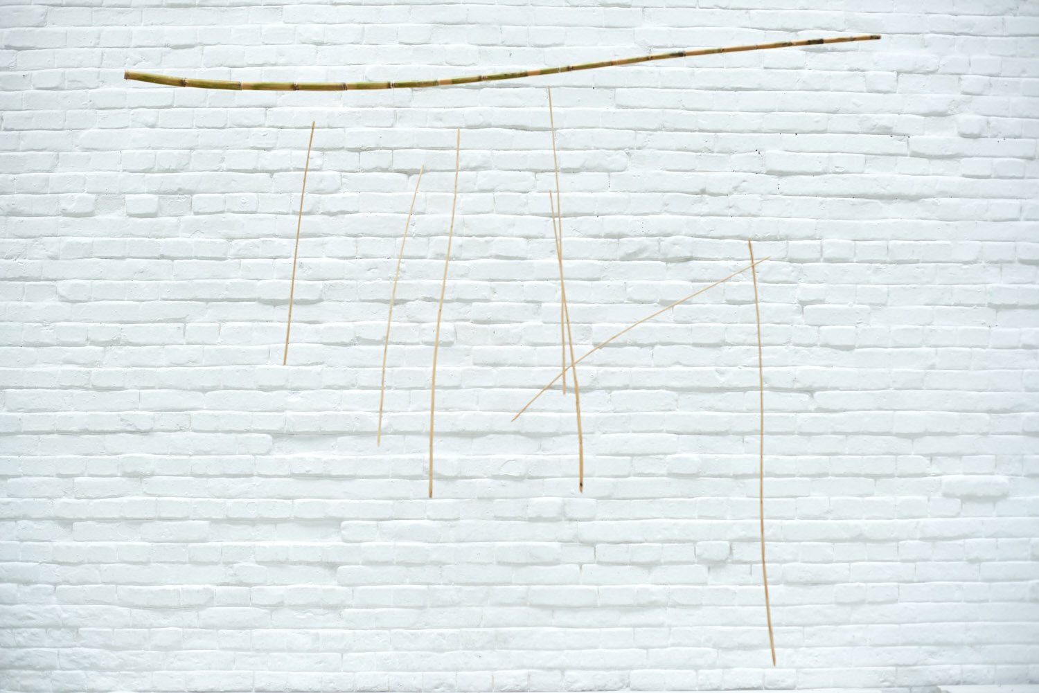 KARTOGRAFIJE VJETRENJA